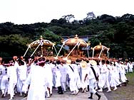 館山の祭り-神輿の掛け合い